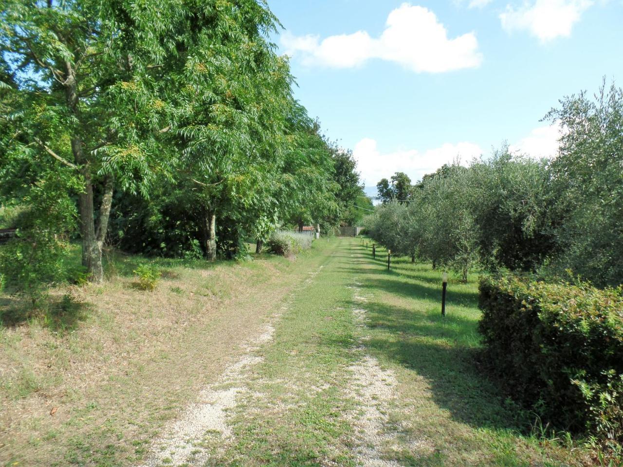 Poggiolindo B&B Capodimonte Buitenkant foto