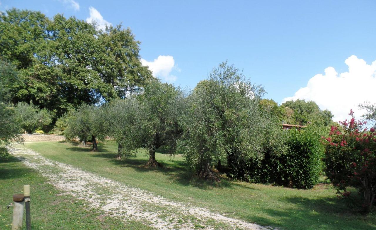 Poggiolindo B&B Capodimonte Buitenkant foto