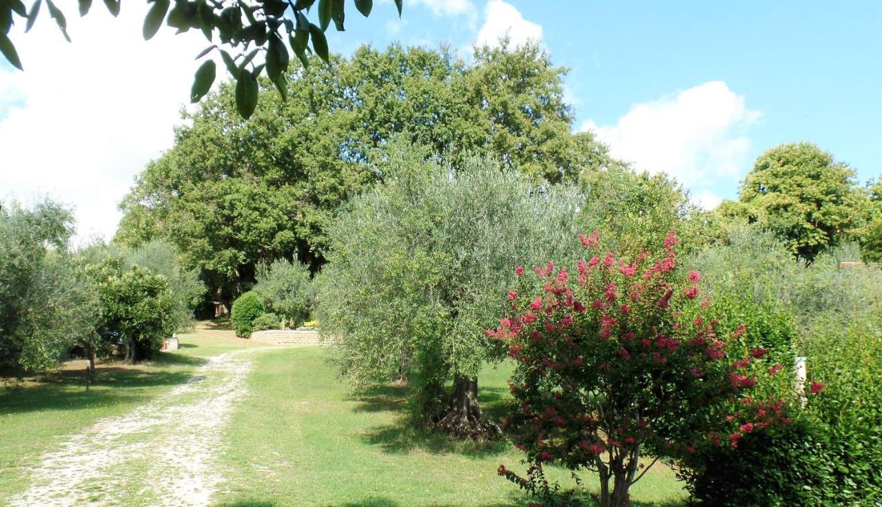 Poggiolindo B&B Capodimonte Buitenkant foto